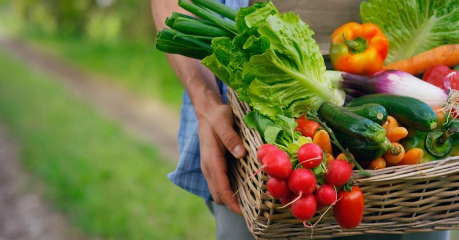 Ferias Del Agricultor Se Reanudan Con Estrictas Medidas Sanitarias