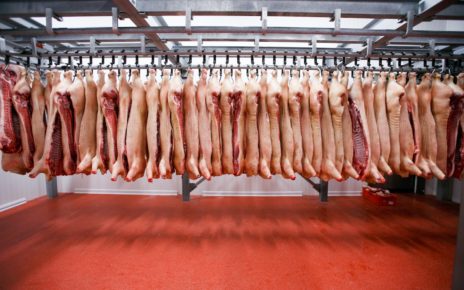 Bachoco invertirá en el negocio del cerdo procesado