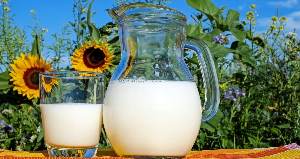 Europa: crece en el primer trimestre la producción de leches en polvo, queso y la leche de consumo directo