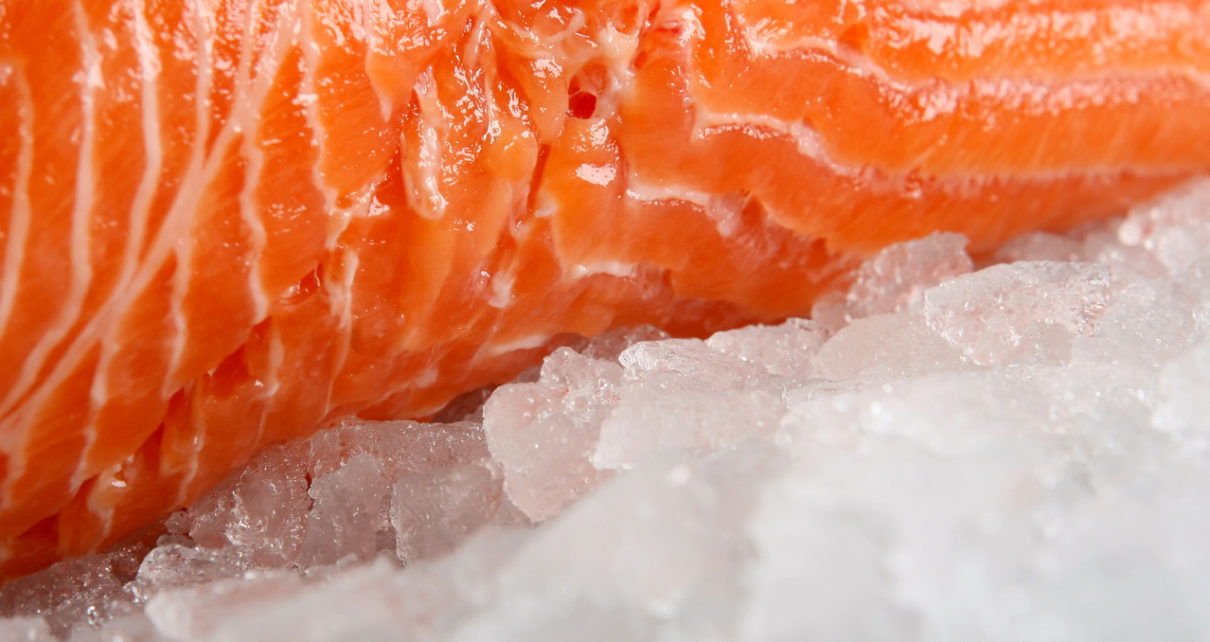Salmon peptides against obesity