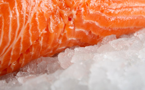Salmon peptides against obesity