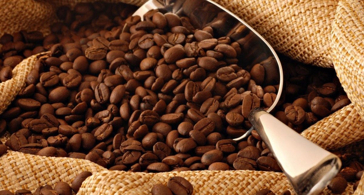 UNAM crea gel de cafeína para controlar sobrepeso