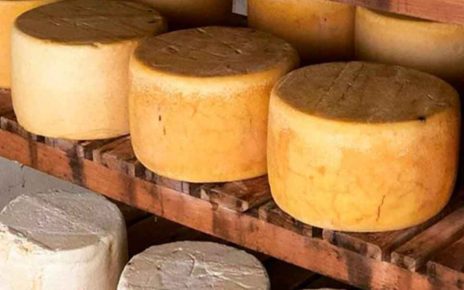Uniformidad en el queso Cotija; el paso hacia la denominación de origen