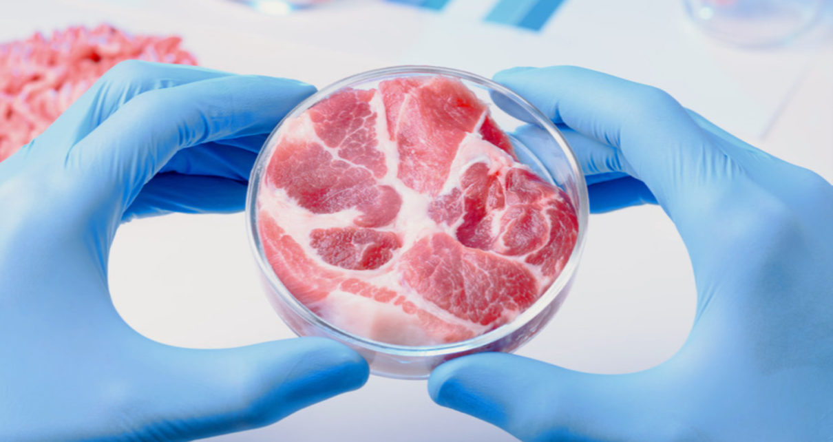 Cellular agriculture: Acceptance of cultured meat flourishes in France and Germany