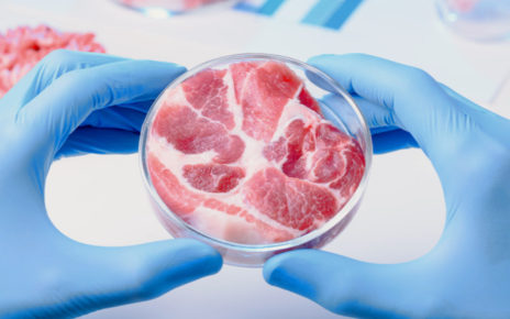 Cellular agriculture: Acceptance of cultured meat flourishes in France and Germany