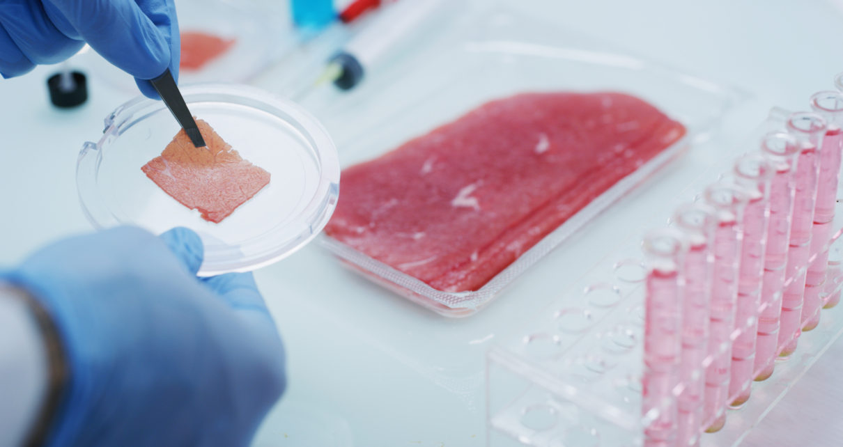 Gen Z not ready to eat lab-grown meat: study