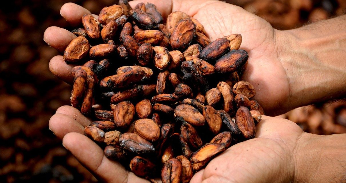 Barry Callebaut breaks ground on new cocoa facility in Ecuador