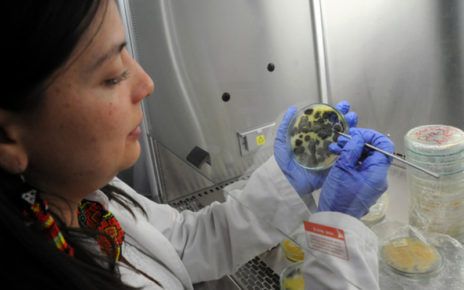 Estudian científicos del IPN bacterias que degradan contaminantes sintéticos