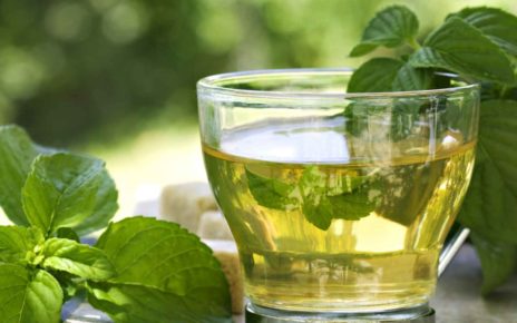 Un antioxidante de una popular bebida aumentaría niveles de proteínas supresoras de tumores y reparadoras del ADN