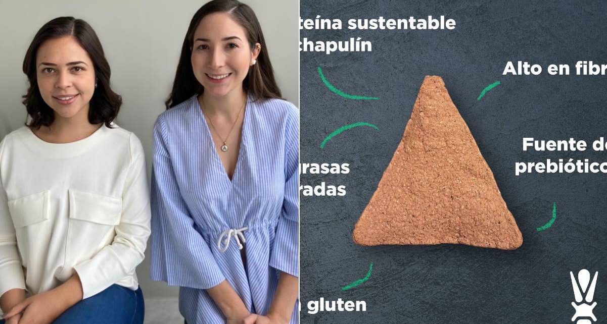 Alumnas del Tec de Monterrey crean alimento de chapulines alto en proteína