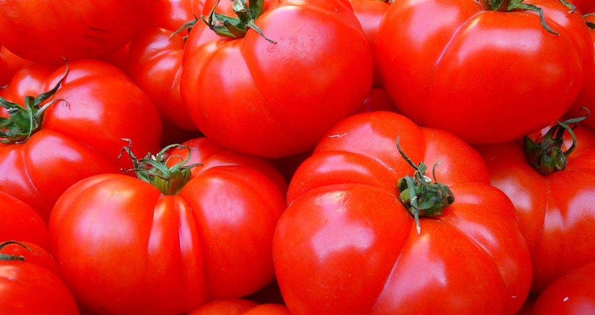 El extracto de tomate revertiría la inflamación de próstata