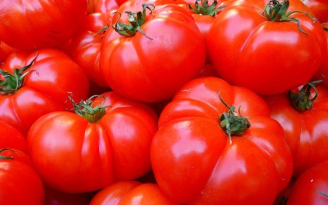 El extracto de tomate revertiría la inflamación de próstata