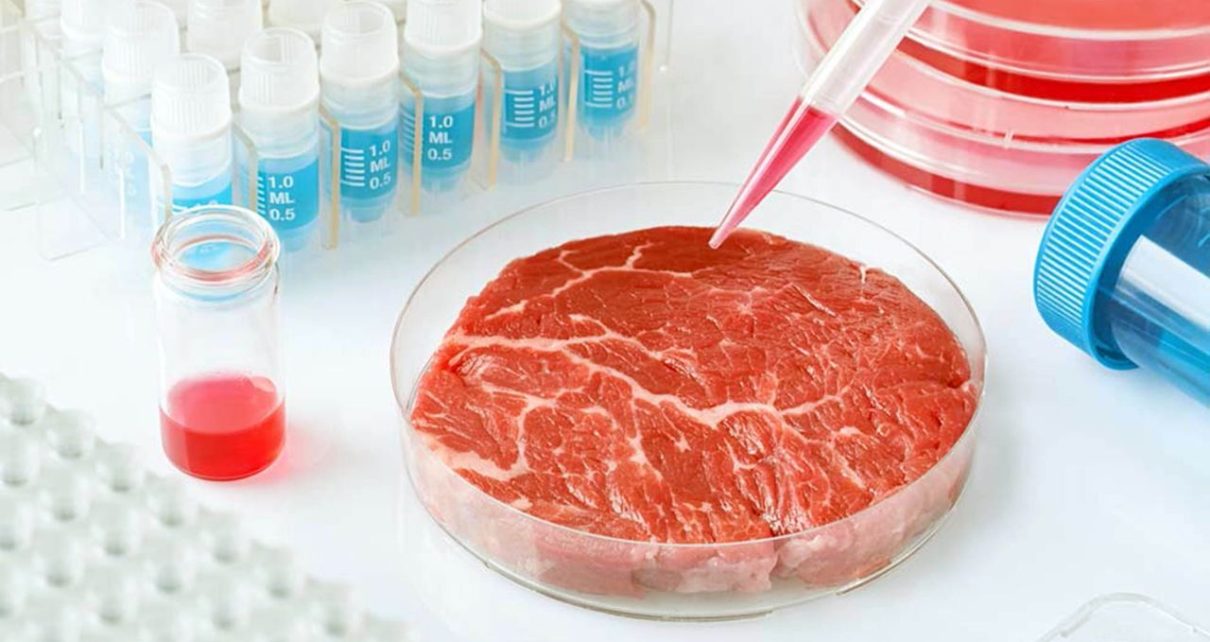 ¿Carne formada en el laboratorio para una alimentación cárnica más sostenible?