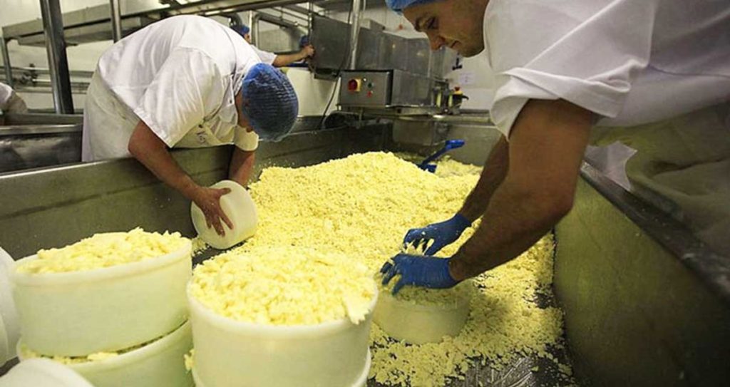 residuos-de-producci-n-de-queso-para-producir-envases-que-alargan-la