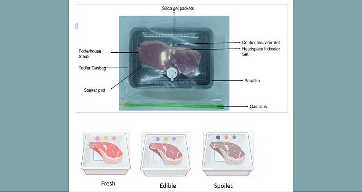 Desarrollan etiquetas que marcan la frescura de la carne sustituyendo